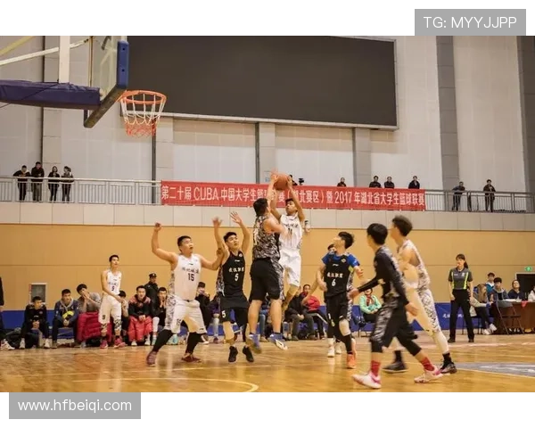 成都篮球队比赛经验变革引发热议助力球队新征程